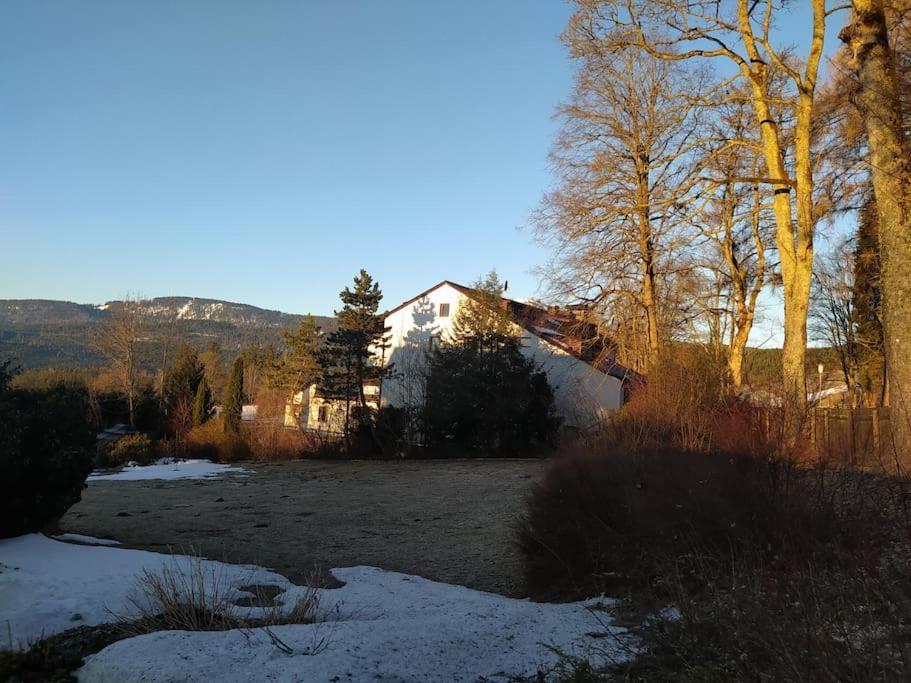 Apratman Julie - Bavorska Ruda Apartamento Bayerisch Eisenstein Exterior foto