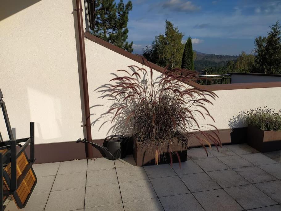 Apratman Julie - Bavorska Ruda Apartamento Bayerisch Eisenstein Exterior foto